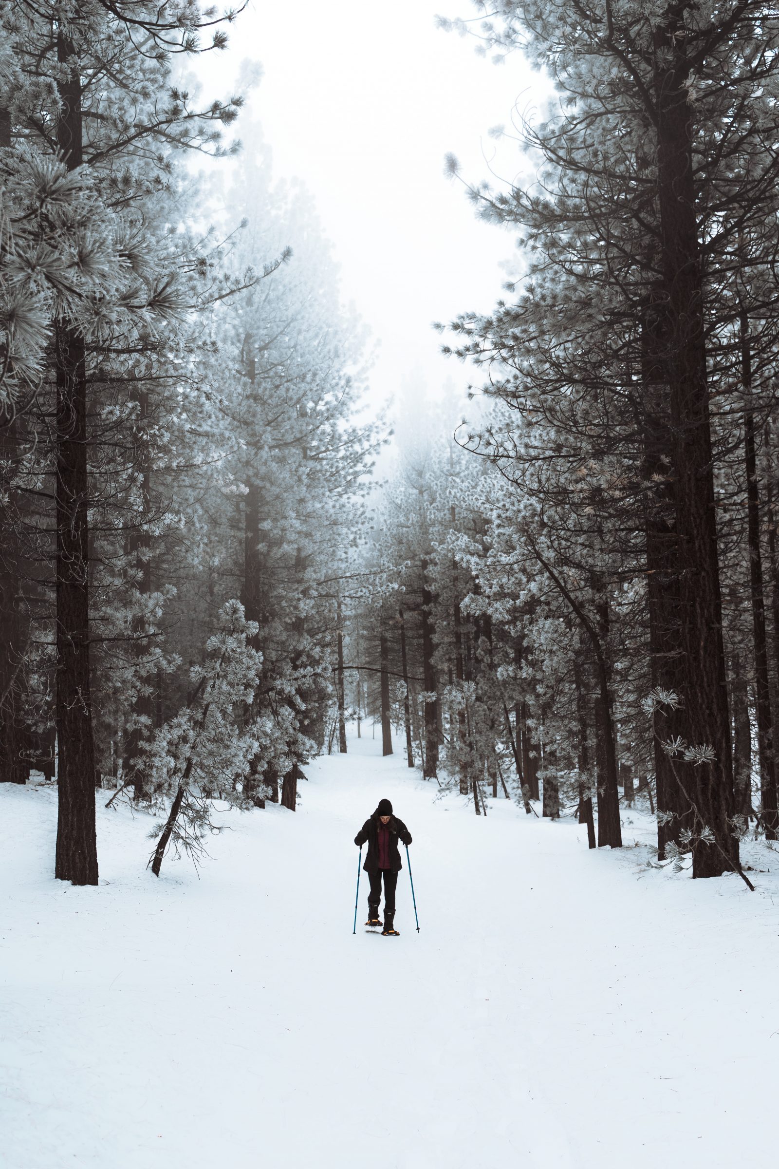 Enjoy the Holidays Without Jeopardizing Fitness