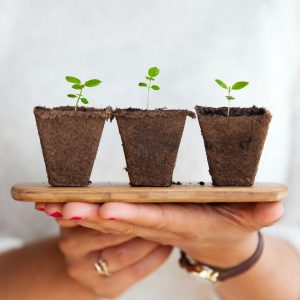Mother's Day -plants