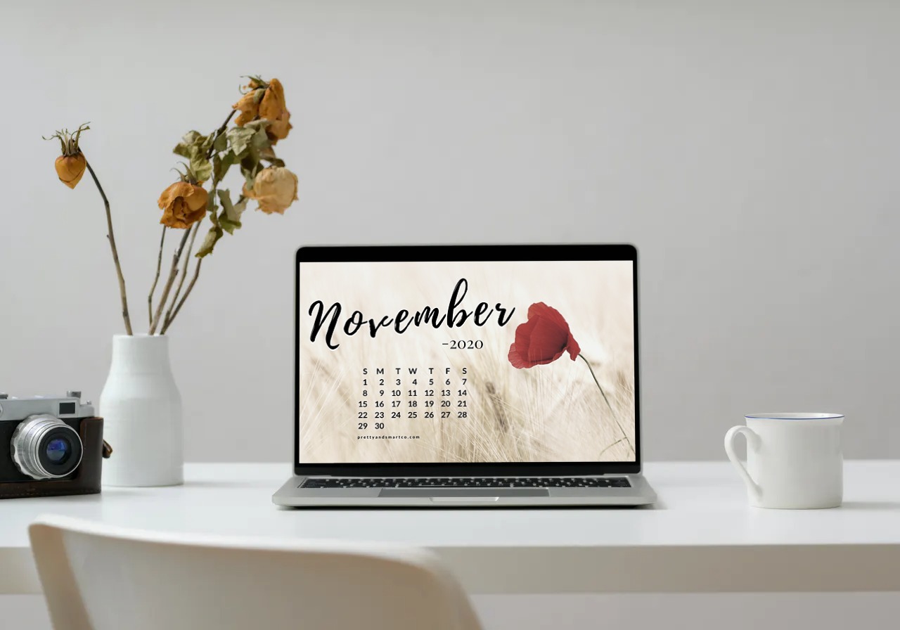 November 2020 Tech Bkg- Pretty & Smart Co